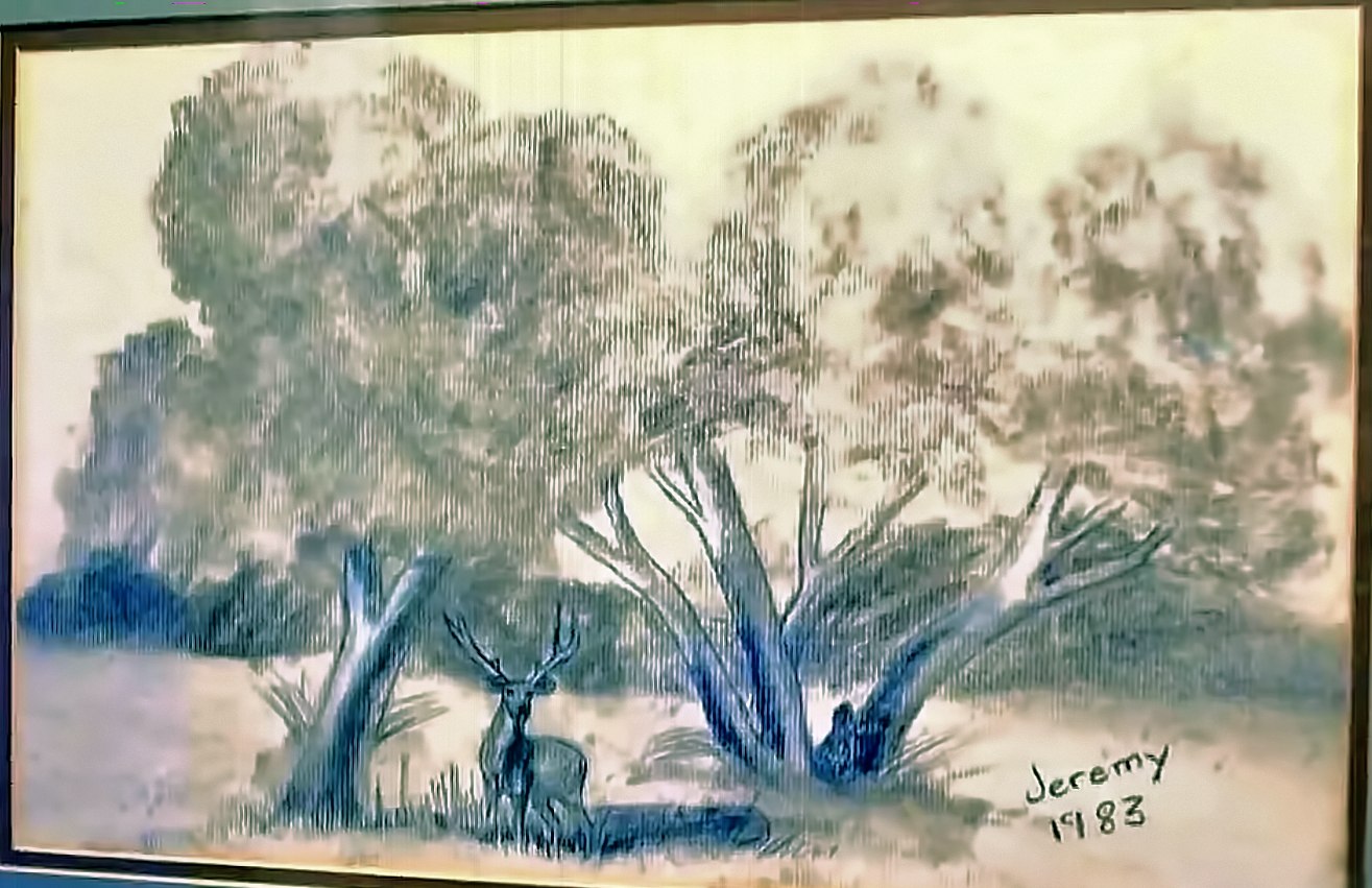 Jeremy Wade Delle deer landscape drawing 1983